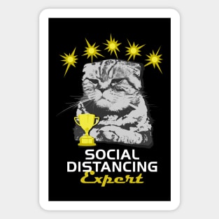 Cats Are Social Distancing Experts Sticker